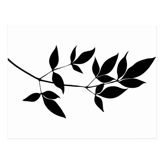 540x540 Black Amp White Vector Leaves Branch Silhouette Postcard