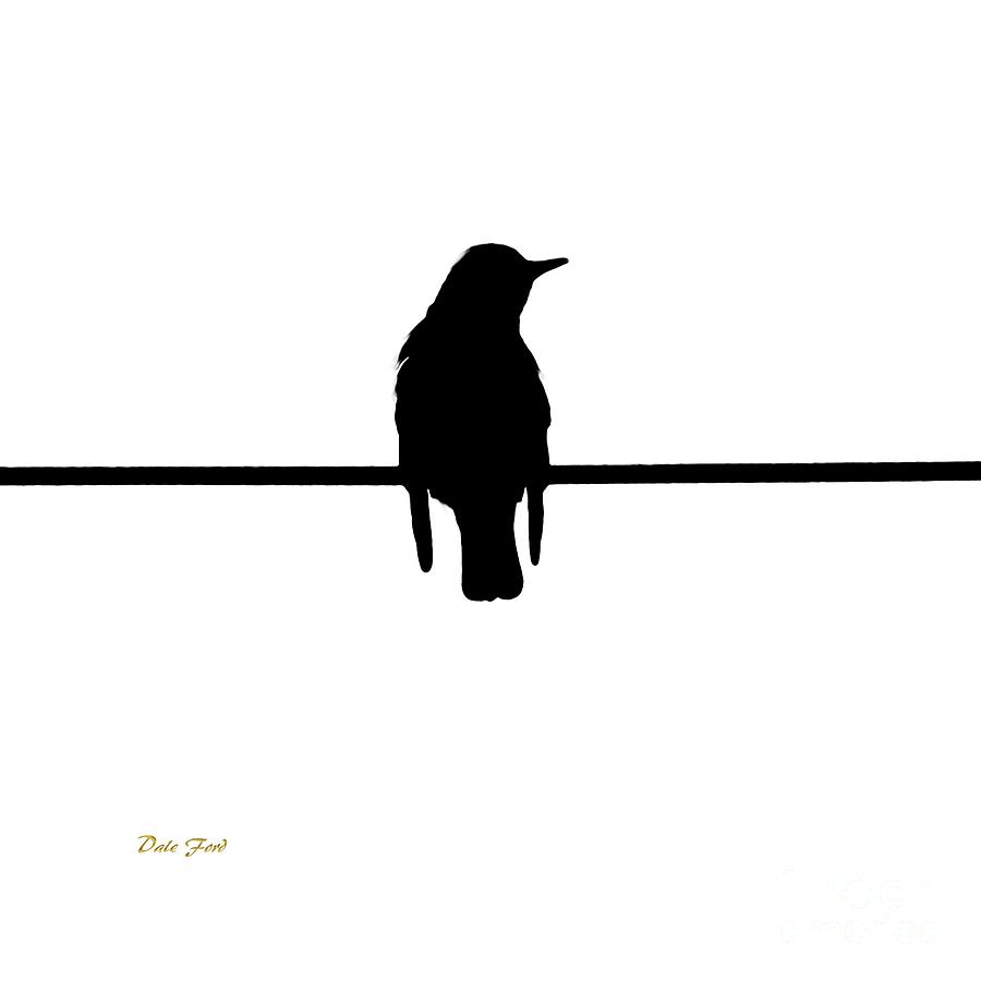 900x900 Like A Bird On The Wire Digital Art By Dale Ford