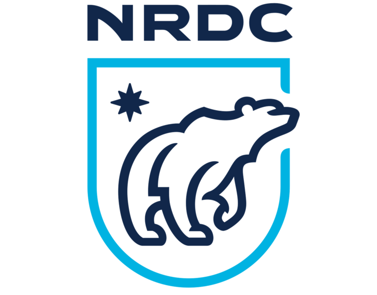 750x587 Partners Amp Sponsors Women's March