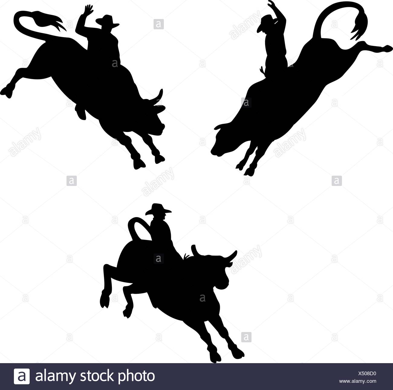 1300x1292 Bull Bull Riding Black And White Stock Photos Amp Images