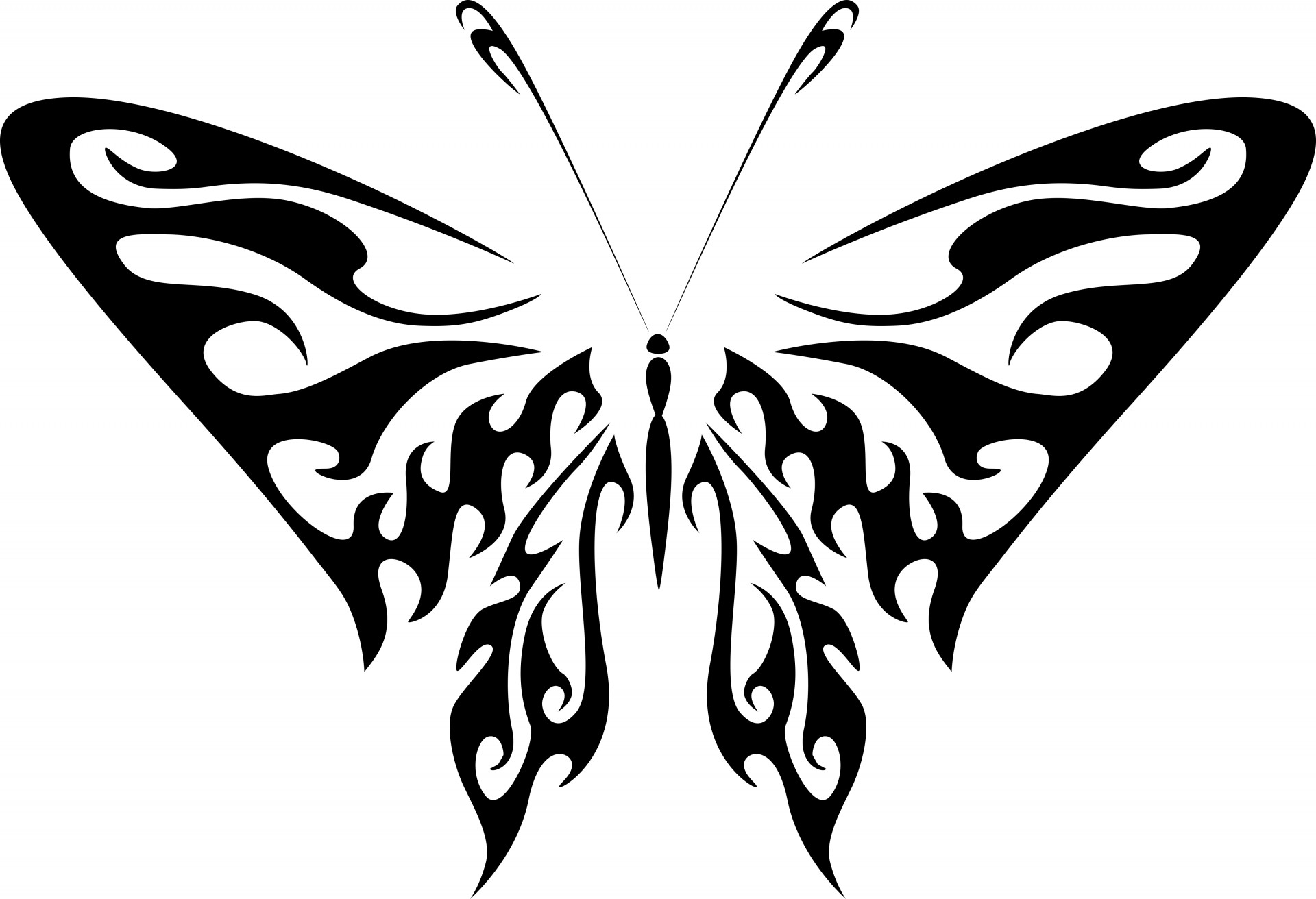 1920x1312 Silhouette Of A Butterfly Free Stock Photo