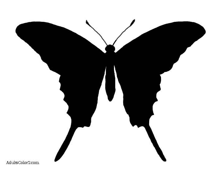 700x542 Butterfly Outline Or Silhouette Basic Butterfly Shapes