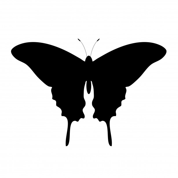 615x615 Butterfly Silhouette Clipart Free Stock Photo