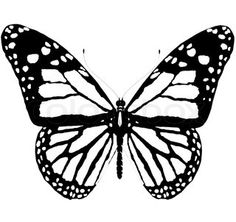 236x222 Butterflies Tattoo Butterflies And Ink Colors