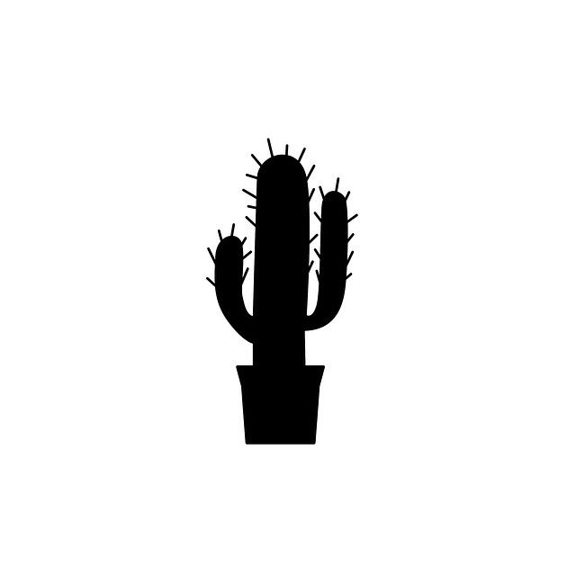 640x640 Cactus Silhouette