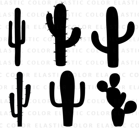 570x530 Cactus Svg Cactus Clipart Cactus Silhouette Cricut Files