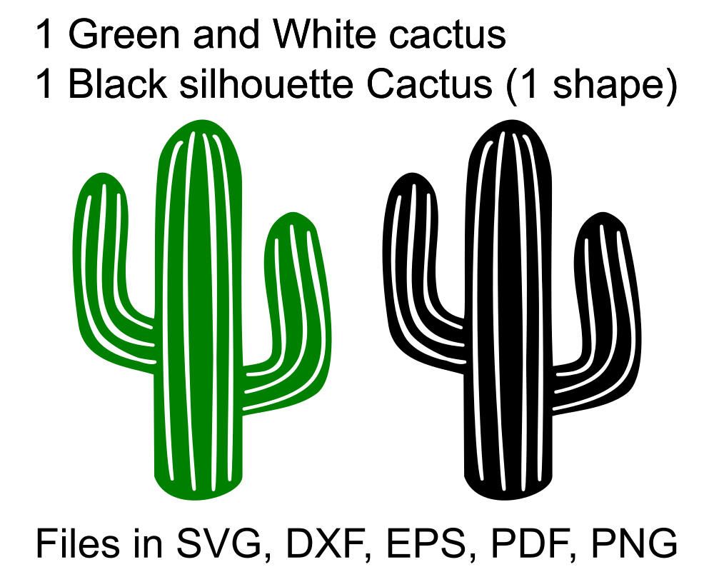 1000x794 Cactus Svg