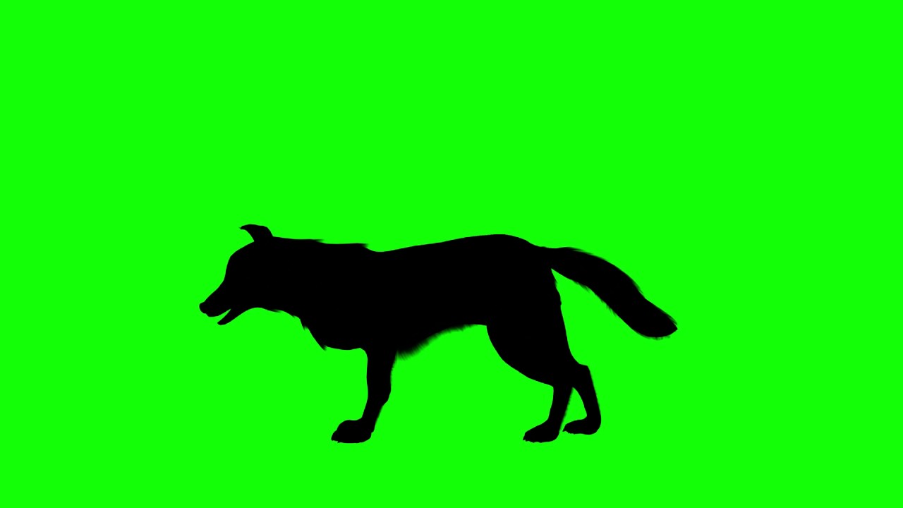 1280x720 Free Hd Video Backgrounds Silhouettes Wolf Standing