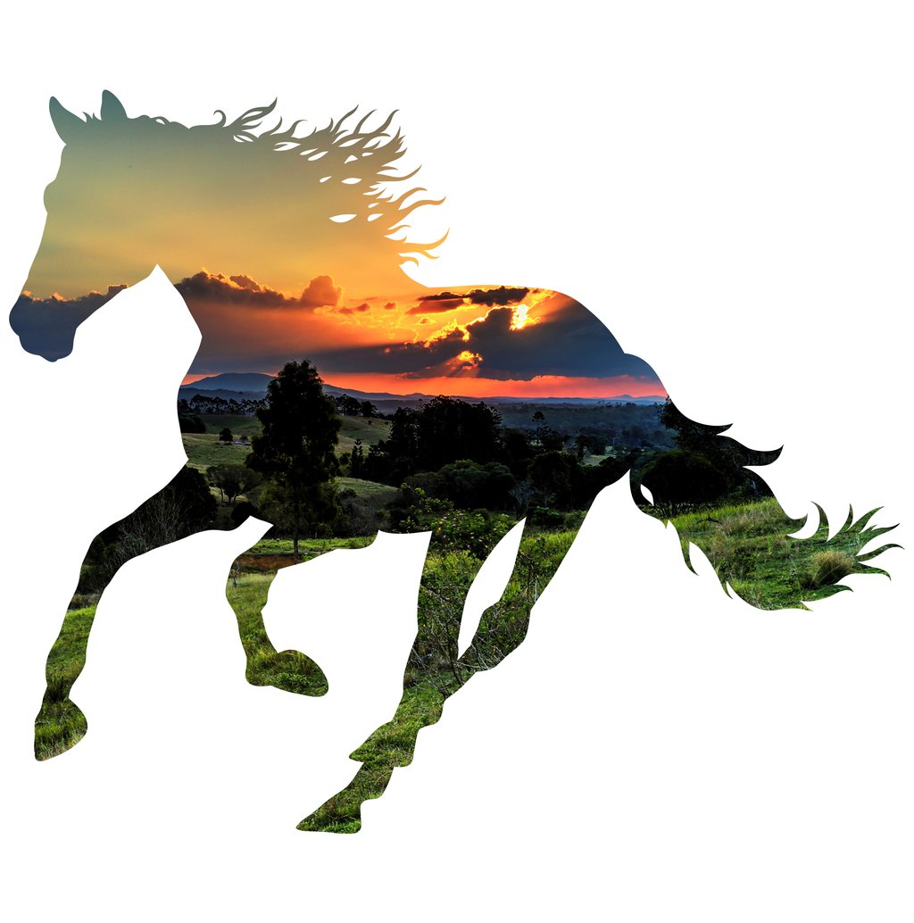 1024x1034 Horse Silhouette Valley Background Image Large Wall Decals Let'S