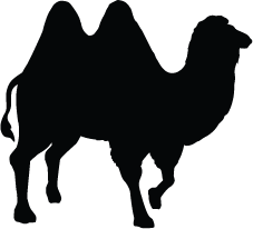 Silhouette Camel at GetDrawings | Free download