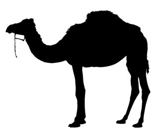 320x275 Camel Silhouette 1 Decal Sticker
