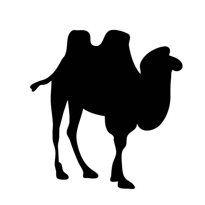 660x660 Silhouette Of A Camel