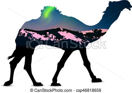 450x319 Silhouette Of Camel With Green Lights Above Snowy Mountains