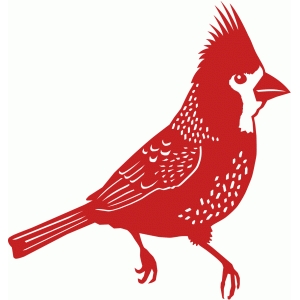 300x300 Silhouette Design Store