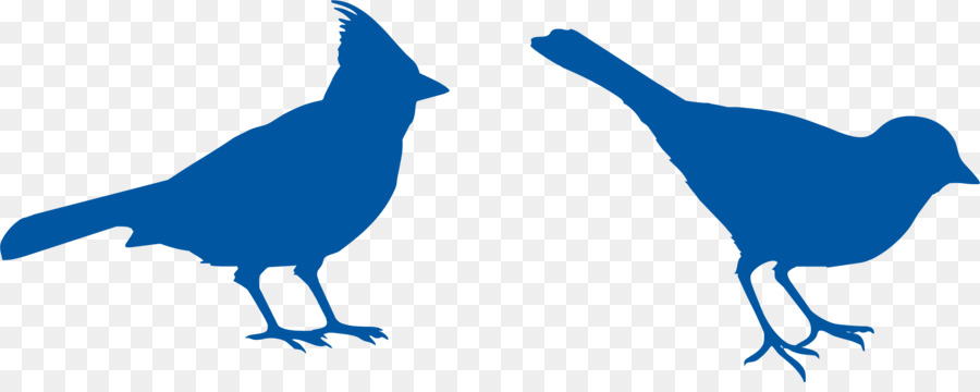 900x360 St. Louis Cardinals Silhouette Watercolor Painting Northern