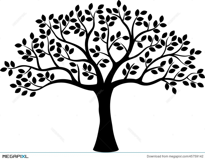 800x624 Tree Silhouette Cartoon Illustration 45759142