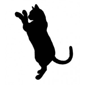 300x300 Silhouette Chat
