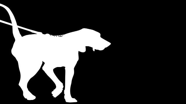 640x360 Family Seeks Stricter Leash Laws After Dog On Dog Attack