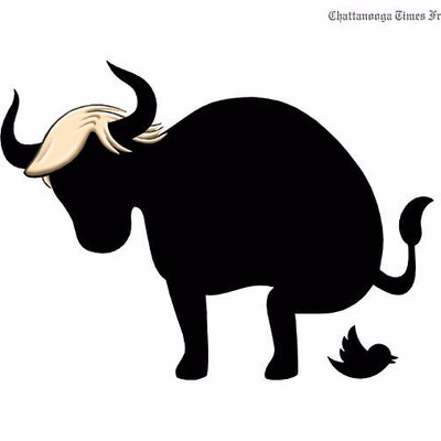 400x400 Tom Rogers On Twitter It's Common Here In S.