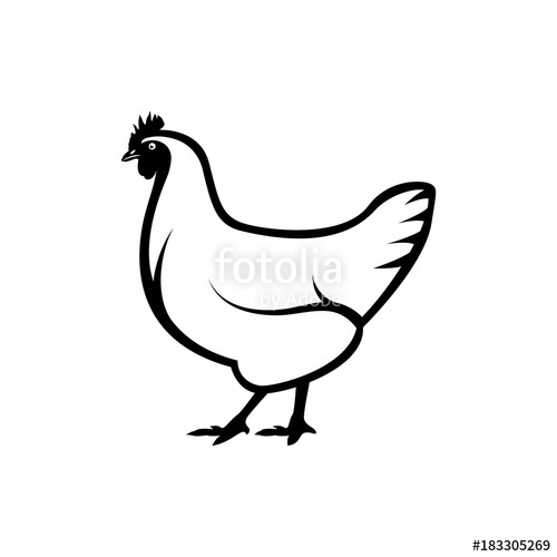 500x500 Vector Chicken Silhouette Stock Image And Royalty Free Vector