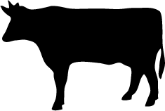 235x158 Cow Silhouette Silhouette Of Cow