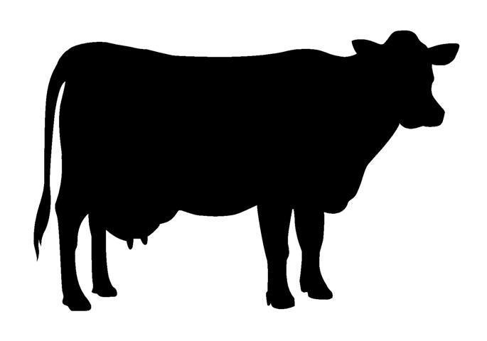 685x480 Cow Silhoette Jpeg