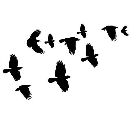 430x430 Crow Clipart Flying