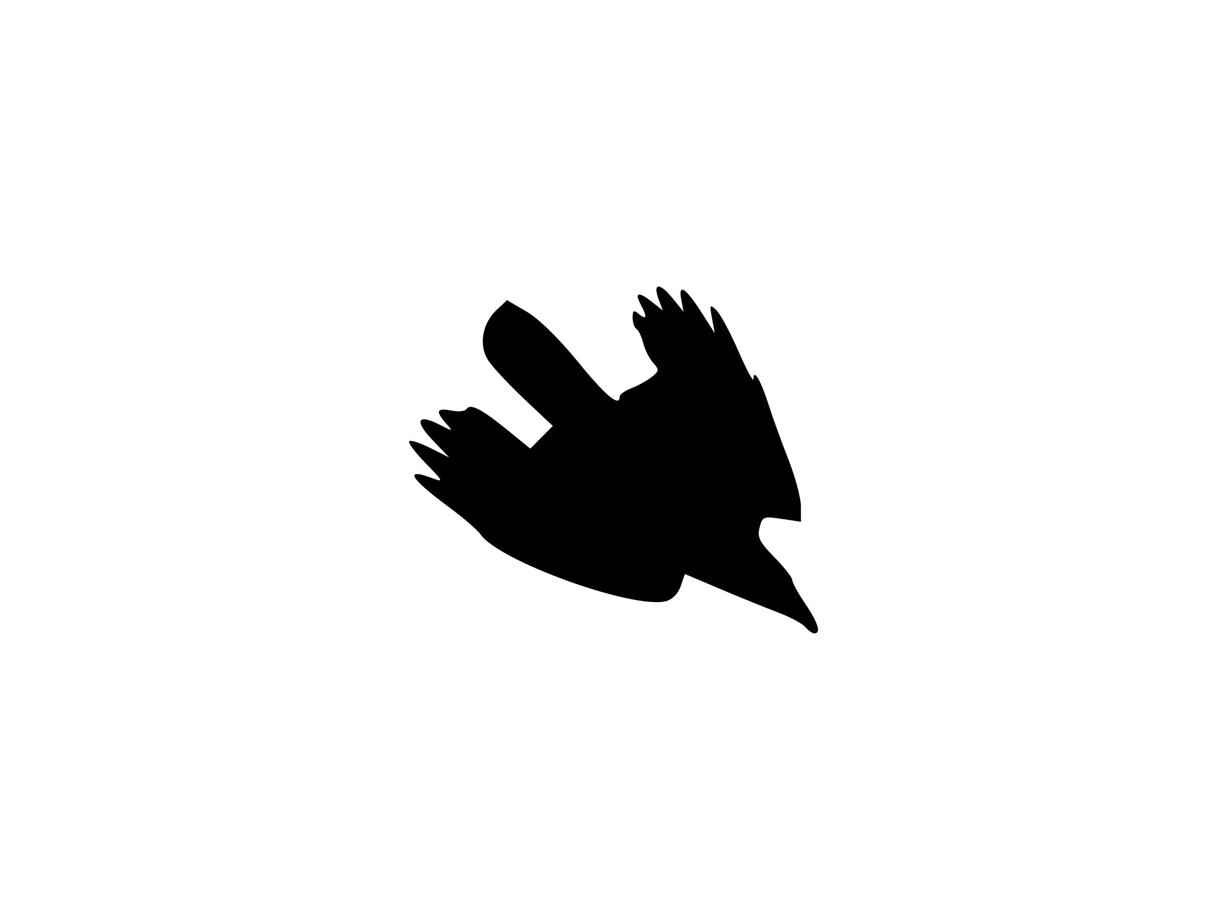 2400x1800 Diving Crow Silhouette Icons Png