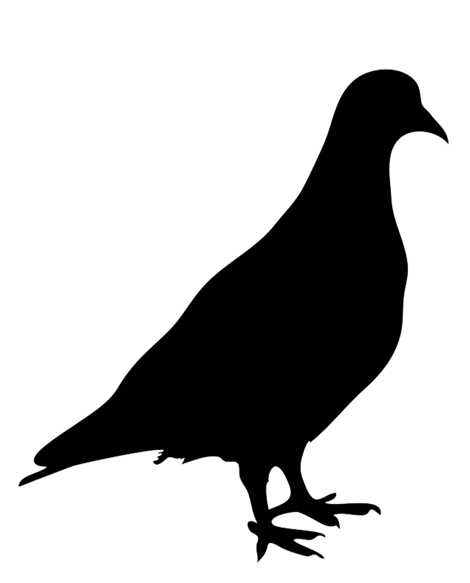 952x1181 Bird Silhouettes