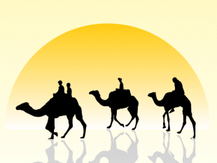 310x233 Camel Silhouettes Graphics Free Vectors Ui Download