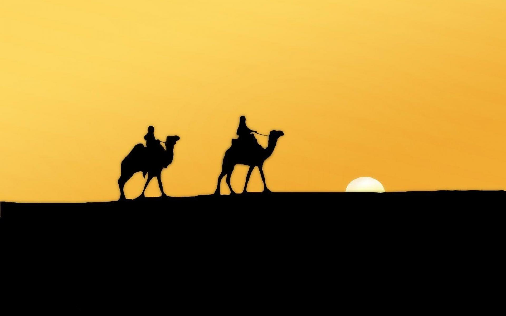 Караван солнца. Верблюд в пустыне. Всадник в пустыне. Верблюд на фоне солнца. Караван верблюдов.