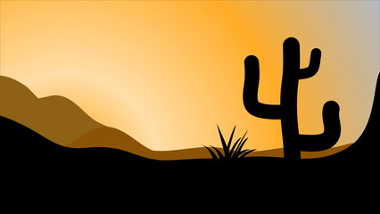 426x240 Search Photos San Pedro Cactus