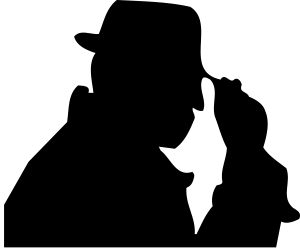 300x251 Hastings Website Design