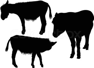 320x233 Vectors Donkey Stock Vector Colourbox