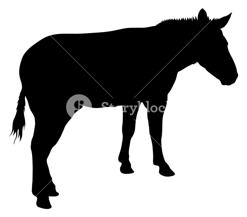 1000x877 Donkey Animal Silhouette Royalty Free Stock Image