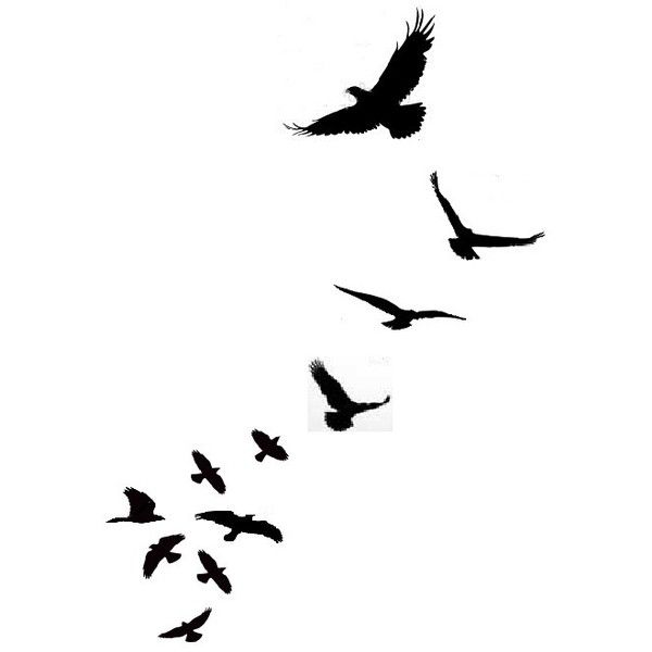 600x600 Drawn Dove Flight Silhouette