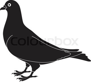 320x288 Vector Silhouette Dove On White Background Stock Vector Colourbox