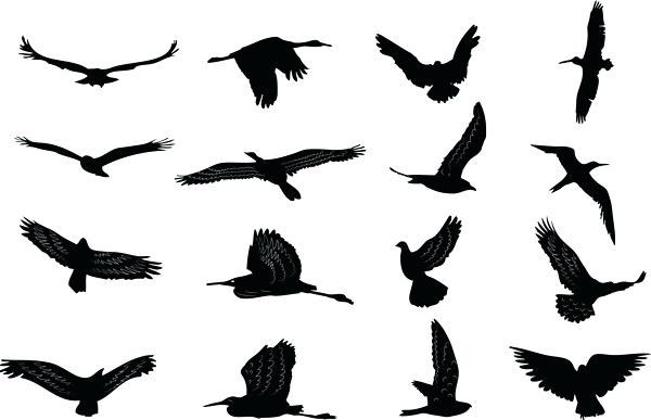 600x387 Dove Outlines Flock Of Birds Silhouette Vector Dove Tattoo Designs