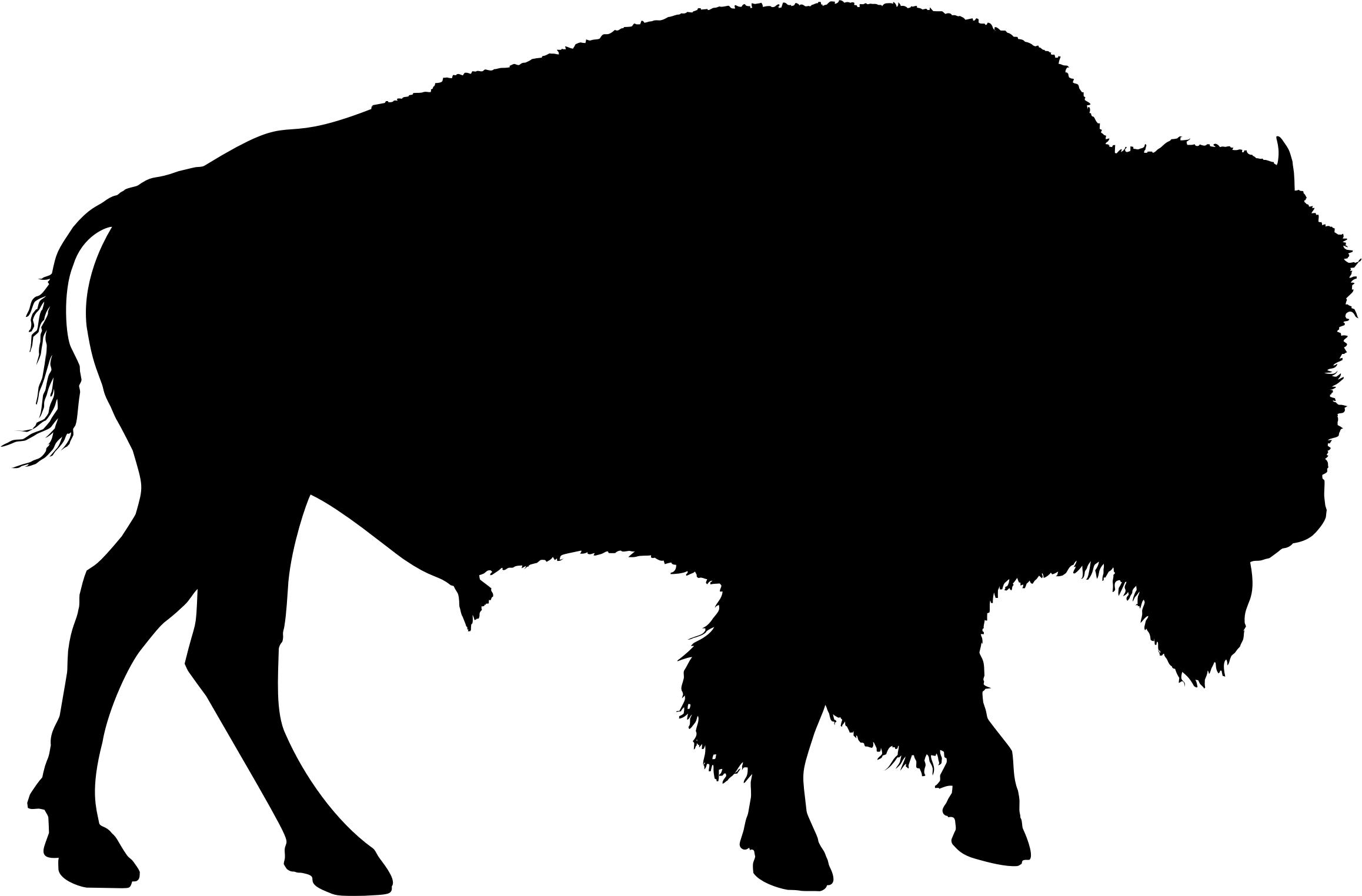 2316x1524 Buffalo Silhouette Icons Png