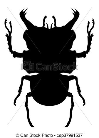 337x470 True Bug Silhouette. Black And White Vector Illustration Vectors