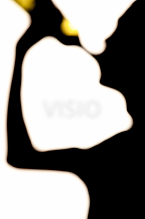 499x750 Silhouette Of Man Drinking Wine From A Bottle