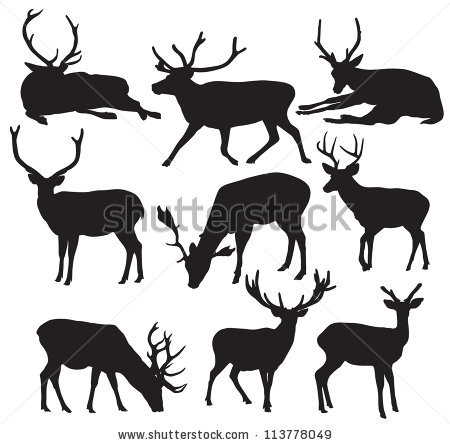450x445 Deer Clipart Drink Water