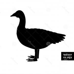 300x300 Vector Isolated Silhouette Goose Duck Createmepink