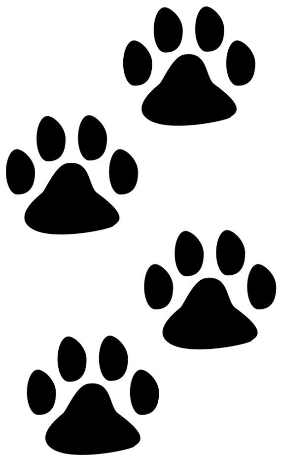 570x922 Impronte Zampe Di Cane Stencil Cupcake Maschera 5 Formati Stencils