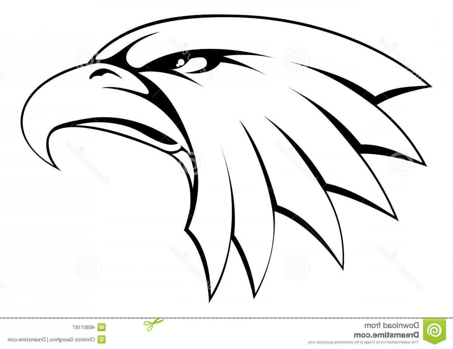 1560x1203 Eagles Head Silhouette Vector Arenawp