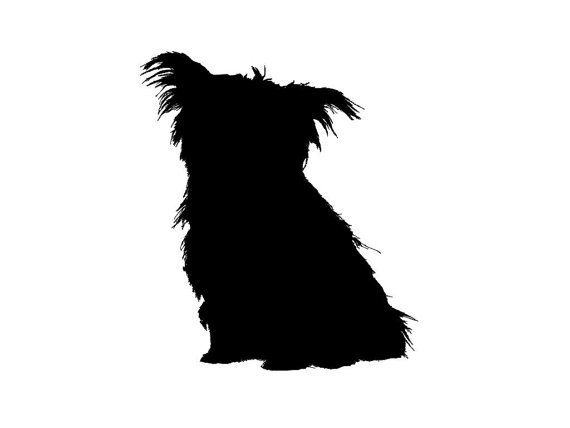 570x428 Cute Yorkie Silhouette With Eyes Clipart Collection