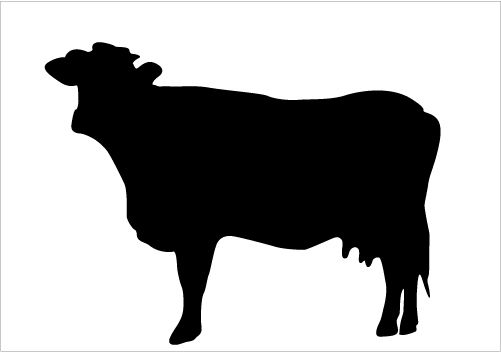 501x352 Best Cow Silhouettes For Farm Animal Design Silhouette Graphics
