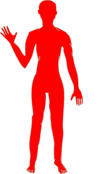 384x598 Female Body One Clip Art