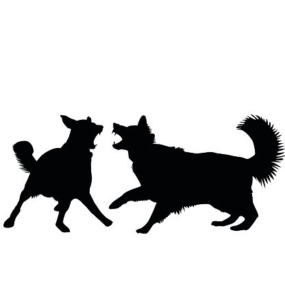 416x416 Dogs Fight Stock Vectors