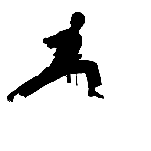 500x500 Martial Arts Karate Silhouette Clip Art